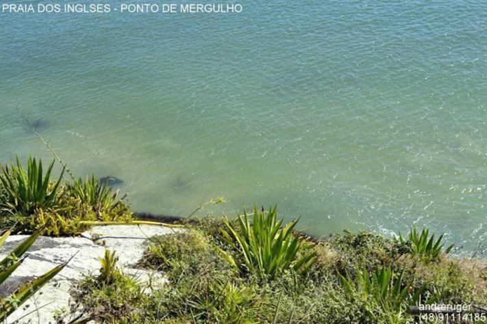 água Da Fonte